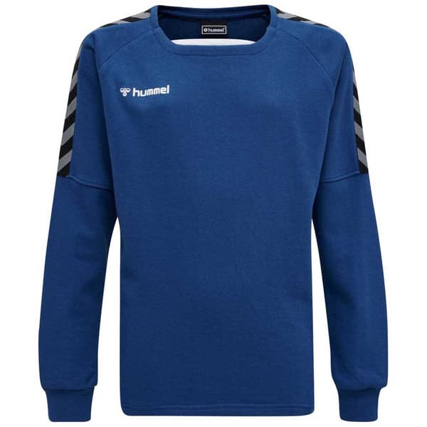 Hummel Tröja Authentic Training Blå 14 Years Pojke