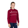 Miniatyrbild 1 av 3: Tecnifibre Tröja Team Röd 10-12 Years