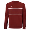 Miniatyrbillede 2 af 3: Tecnifibre Sweatshirt Team Rød M Mand