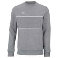 Miniatyrbillede 2 af 3: Tecnifibre Sweatshirt Team Grå M Mand