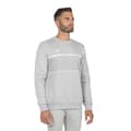Miniatyrbillede 1 af 3: Tecnifibre Sweatshirt Team Grå M Mand