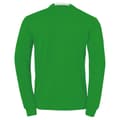 Miniatyrbillede 2 af 4: Kempa Sweatshirt Player Grøn 3XL Mand