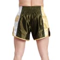 Miniatyrbillede 2 af 8: Leone1947 Training Thaibokseshorts Grøn L Mand