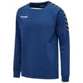 Miniatyrbillede 3 af 3: Hummel Sweatshirt Authentic Training Blå 3XL Mand