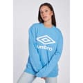 Miniatyrbillede 3 af 5: Umbro Sweatshirt Fw Large Logo Blå XL Mand