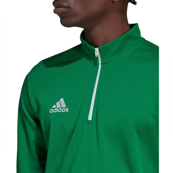 Adidas Tröja Entrada 22 Training Grönt L / Regular Man