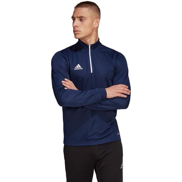 Adidas Tröja Entrada 22 Training Blå L / Regular Man