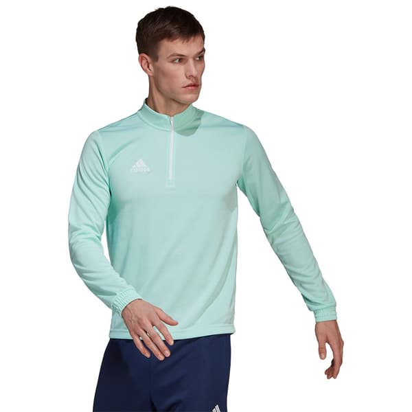 Adidas Huppari Entrada 22 Training Valkoinen L / Regular Mies