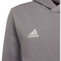 Miniatyrbild 3 av 4: Adidas Luvtröja Entrada 22 Grå 13-14 Years