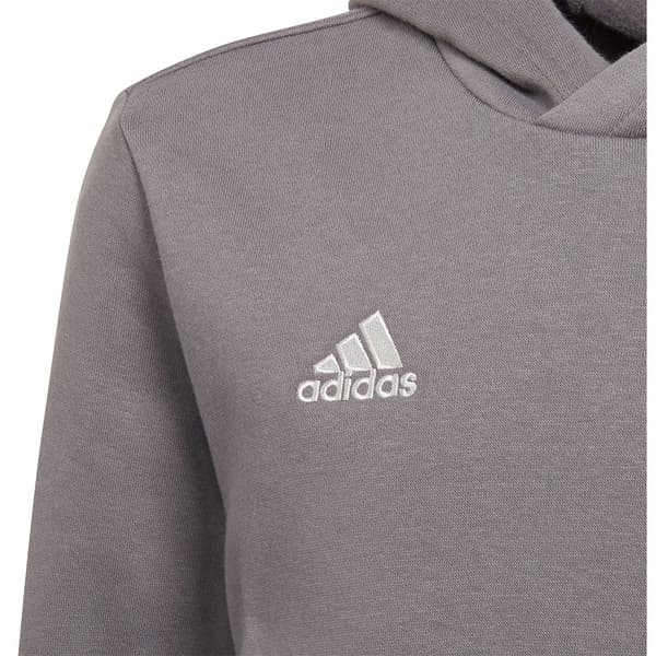 Adidas Luvtröja Entrada 22 Grå 13-14 Years