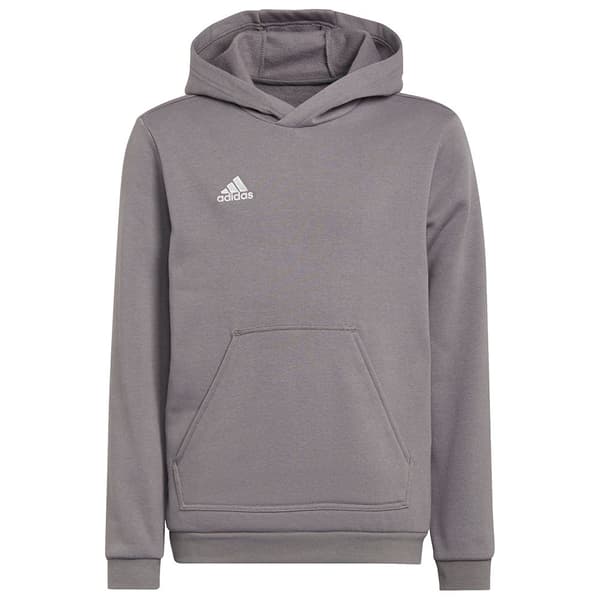 Adidas Luvtröja Entrada 22 Grå 13-14 Years