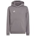 Miniatyrbild 1 av 4: Adidas Luvtröja Entrada 22 Grå 13-14 Years