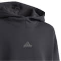 Miniatyrbild 4 av 5: Adidas Luvtröja Z.n.e Svart 11-12 Years