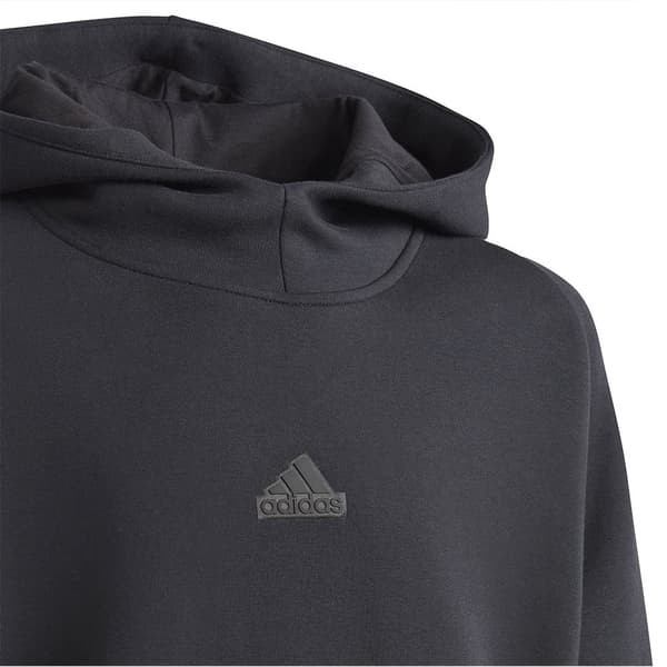 Adidas Luvtröja Z.n.e Svart 11-12 Years