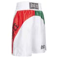 Miniatyrbillede 2 af 4: Benlee Shorts Bonaventure Flerfarvet XS Mand