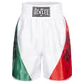 Miniatyrbillede 1 af 4: Benlee Shorts Bonaventure Flerfarvet XS Mand