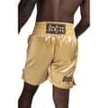 Miniatyrbild 2 av 9: Benlee Boxning Trunks Uni Boxing Guld XL Man
