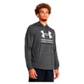 Miniatyrbillede 1 af 4: Under Armour Hættetrøje Rival Terry Graphic Grå L / Regular Mand