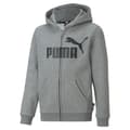 Pikkukuva 1 / 4: Puma Full Vetoketjullinen Villapaita Ess Big Logo Harmaa 7-8 Years Poika