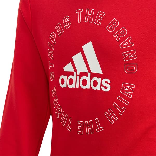 Adidas Fremhævet-træningsdragt Crew Rød 14-15 Years