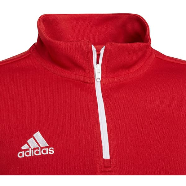 Adidas Huppari Entrada 22 Training Punainen 9-10 Years