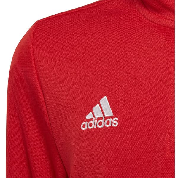Adidas Huppari Entrada 22 Training Punainen 9-10 Years