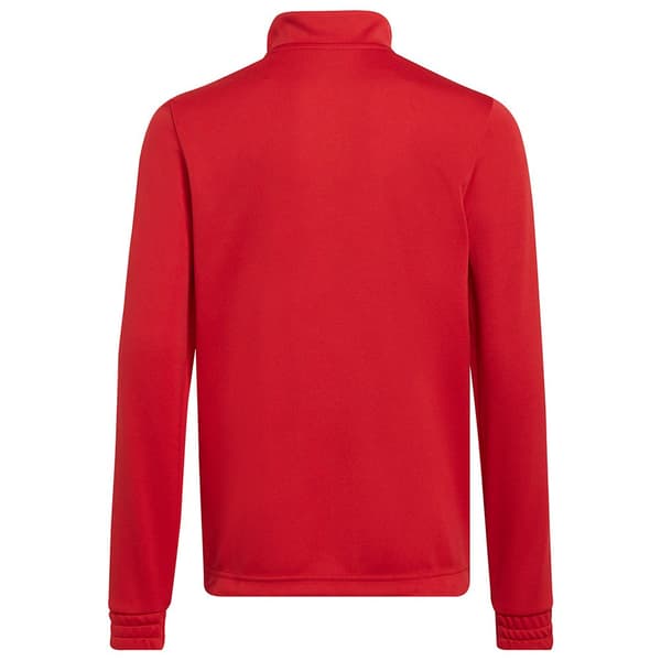 Adidas Huppari Entrada 22 Training Punainen 9-10 Years