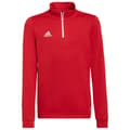 Pikkukuva 1 / 5: Adidas Huppari Entrada 22 Training Punainen 9-10 Years