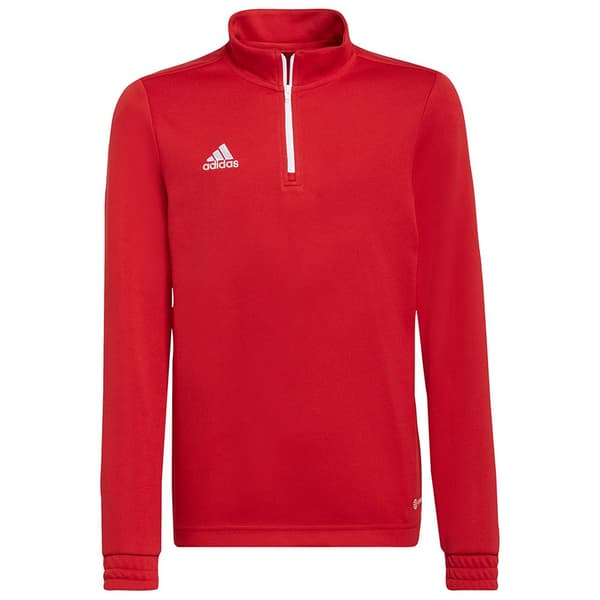 Adidas Huppari Entrada 22 Training Punainen 9-10 Years