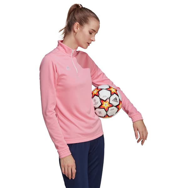 Adidas Huppari Entrada 22 Training Pinkki L / Regular Nainen