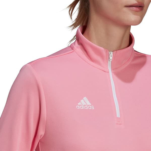 Adidas Huppari Entrada 22 Training Pinkki L / Regular Nainen