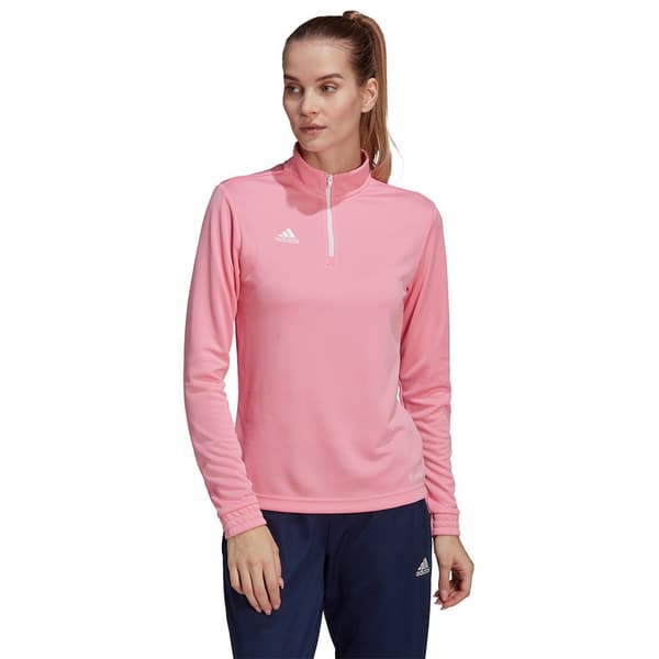 Adidas Huppari Entrada 22 Training Pinkki L / Regular Nainen