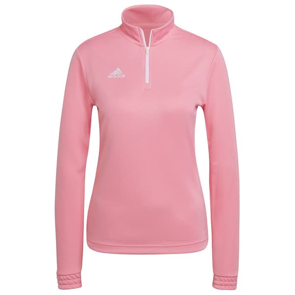Adidas Huppari Entrada 22 Training Pinkki L / Regular Nainen