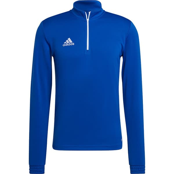 Adidas Tröja Entrada 22 Training Blå M / Regular Man