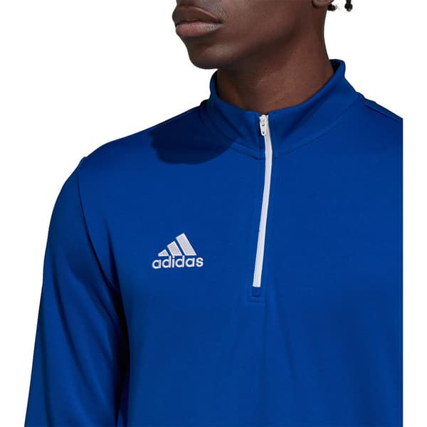 Adidas Tröja Entrada 22 Training Blå M / Regular Man