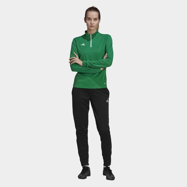 Adidas Tröja Entrada 22 Training Grönt L / Regular Kvinna