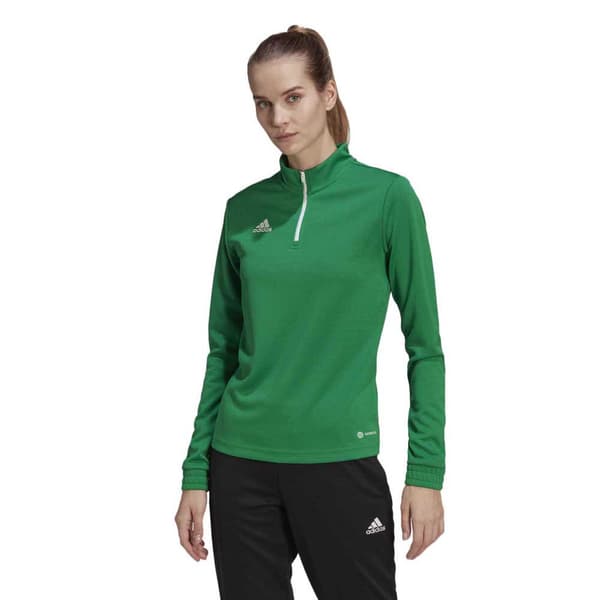 Adidas Tröja Entrada 22 Training Grönt L / Regular Kvinna