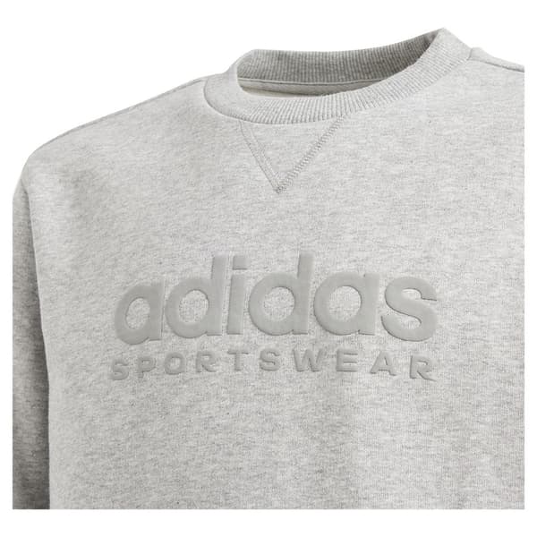 Adidas Tröja All Szn Graphic Grå 15-16 Years Pojke
