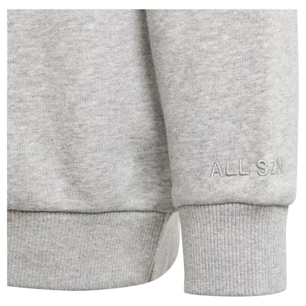 Adidas Tröja All Szn Graphic Grå 15-16 Years Pojke