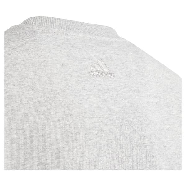 Adidas Tröja All Szn Graphic Grå 15-16 Years Pojke