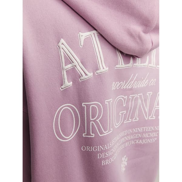 Jack & Jones Hættetrøje Santorini Graphic  M Mand
