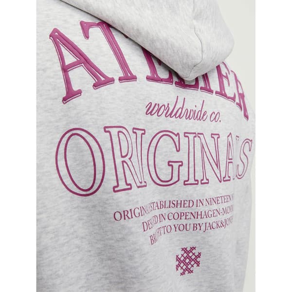 Jack & Jones Hættetrøje Santorini Graphic  L Mand