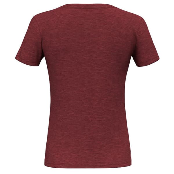 Salewa T-shirt Eagle Eitd Am  S Kvinde