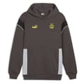 Miniatyrbild 1 av 2: Puma Luvtröja Borussia Dortmund Ftblarchive  M Man