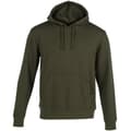 Miniatyrbild 1 av 3: Joma Montana Hoodie 102108-474, Man, Tröjor, Grön