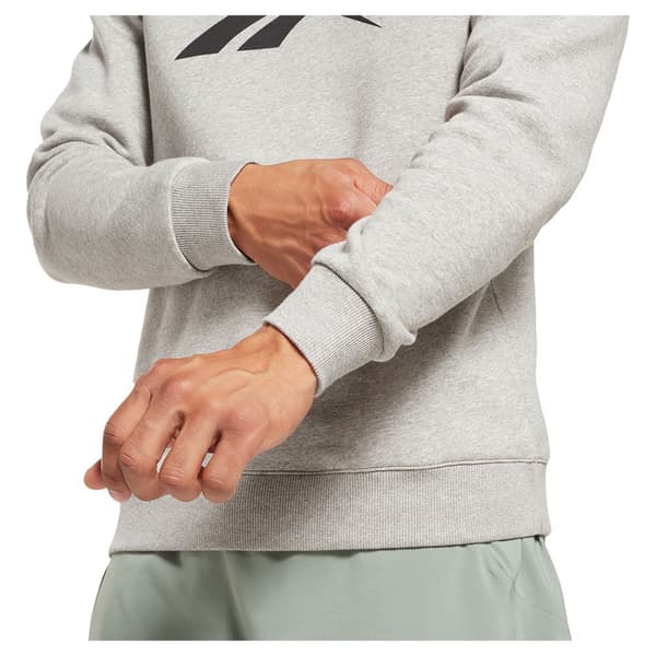 Reebok Tröja Ri Flc Big Logo Crew Grå XL Man