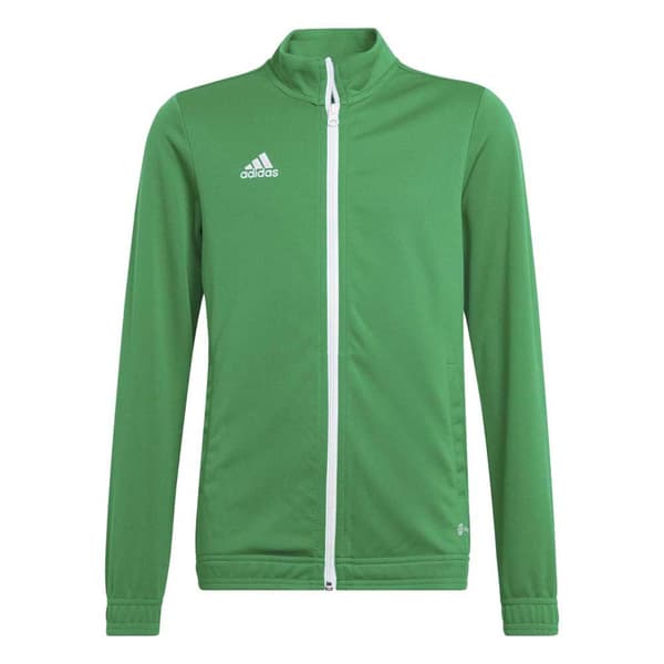 Adidas Takki Entrada 22 Vihreä 13-14 Years