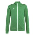 Pikkukuva 1 / 5: Adidas Takki Entrada 22 Vihreä 13-14 Years