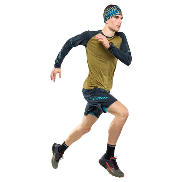 Dynafit Langærmet T-shirt Alpine Pro Grøn 2XL Mand