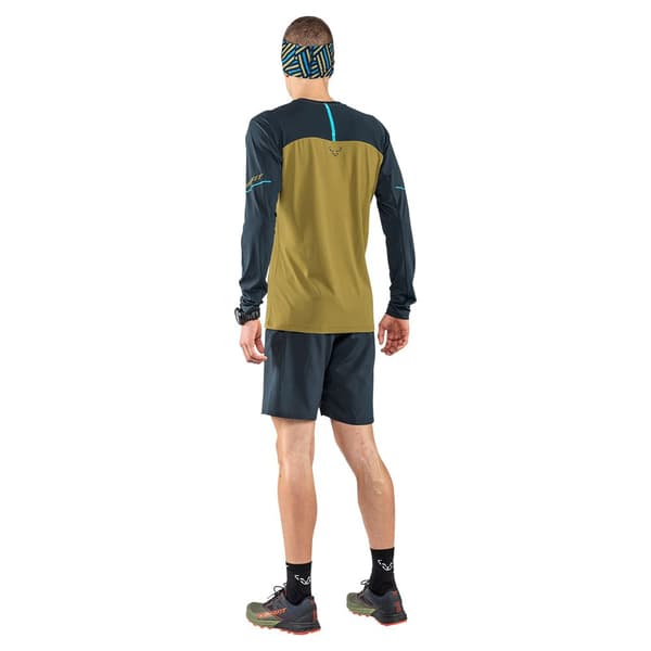 Dynafit Langærmet T-shirt Alpine Pro Grøn 2XL Mand